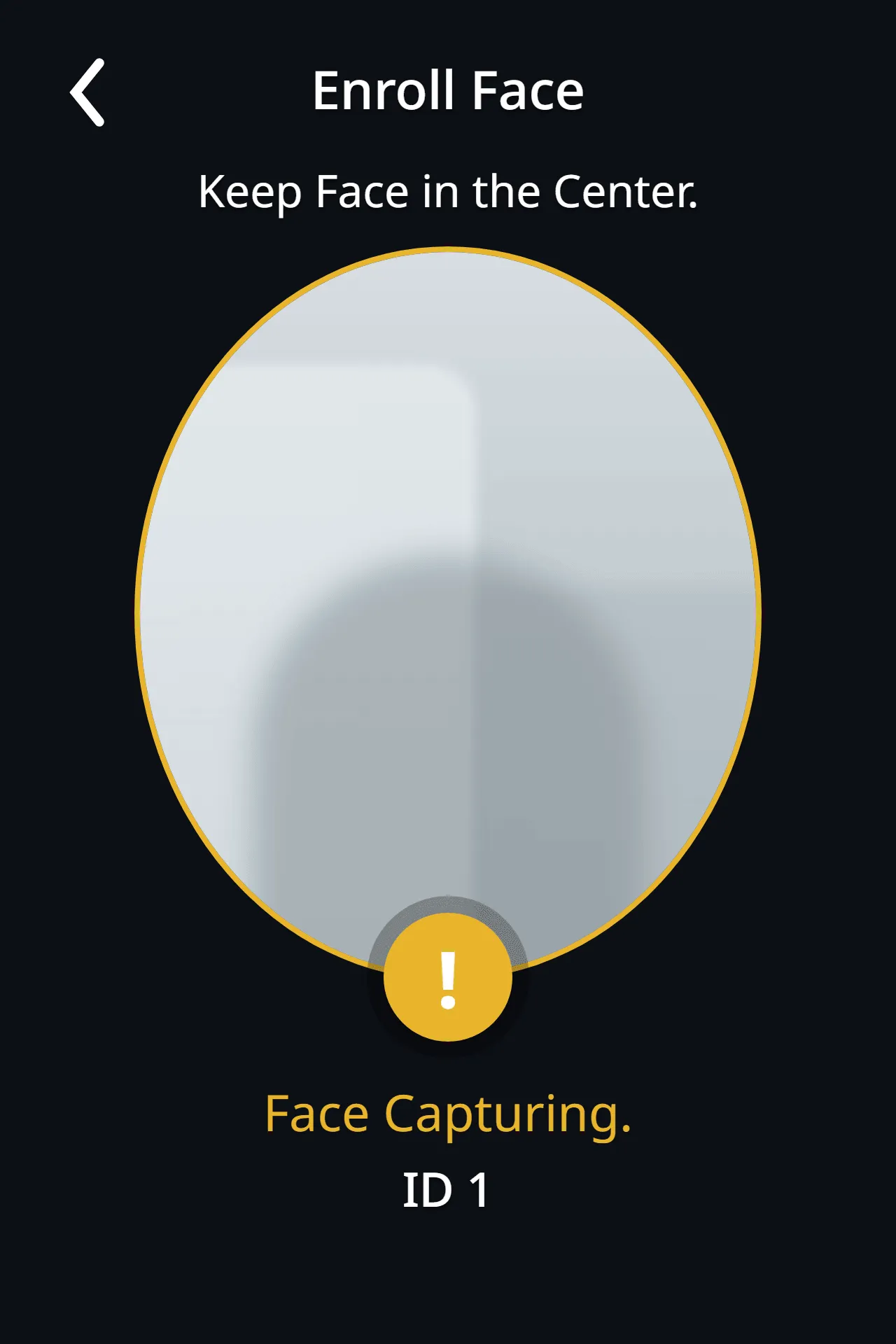 Face capture in progress