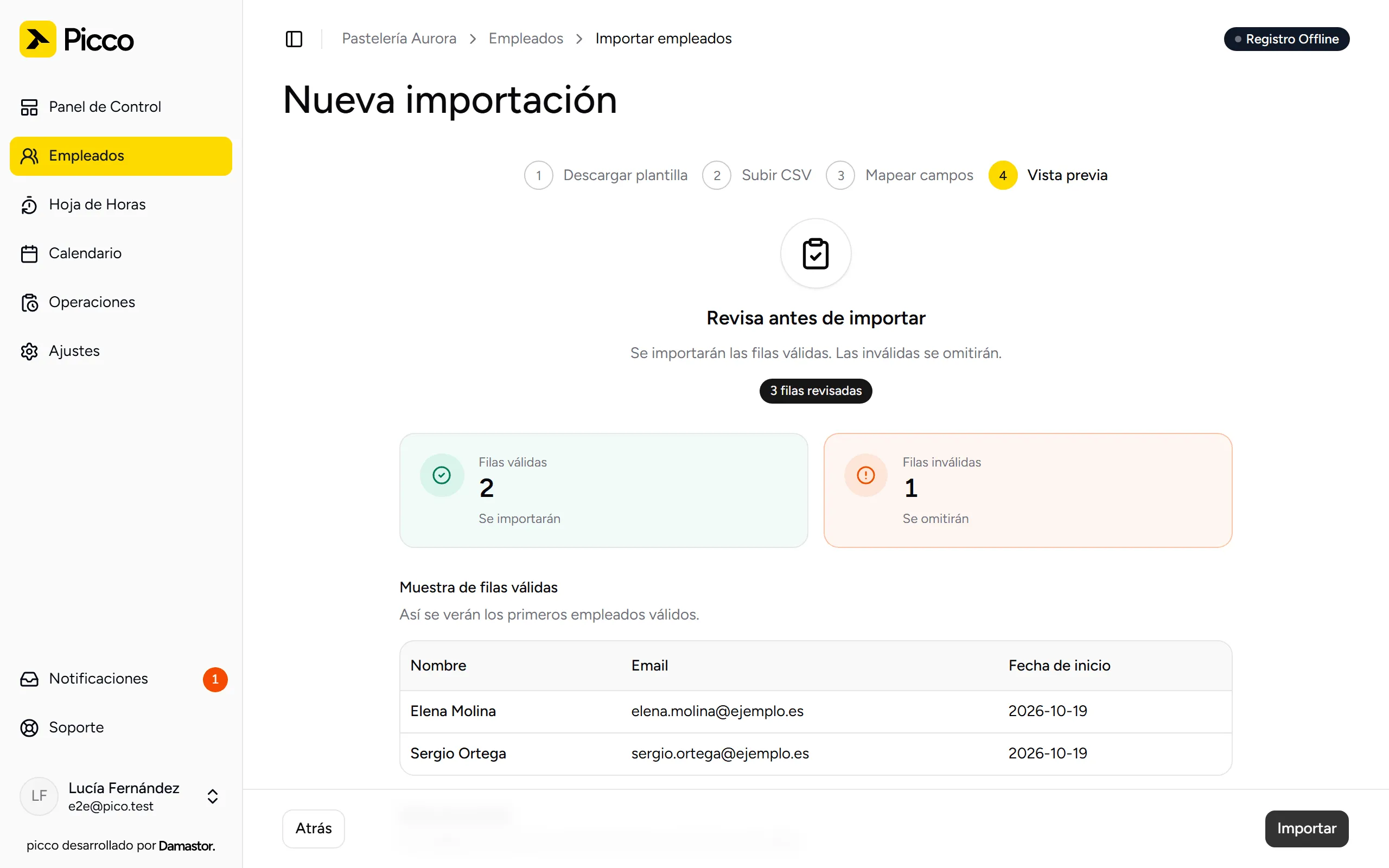 Paso 4: filas válidas y no válidas antes de importar