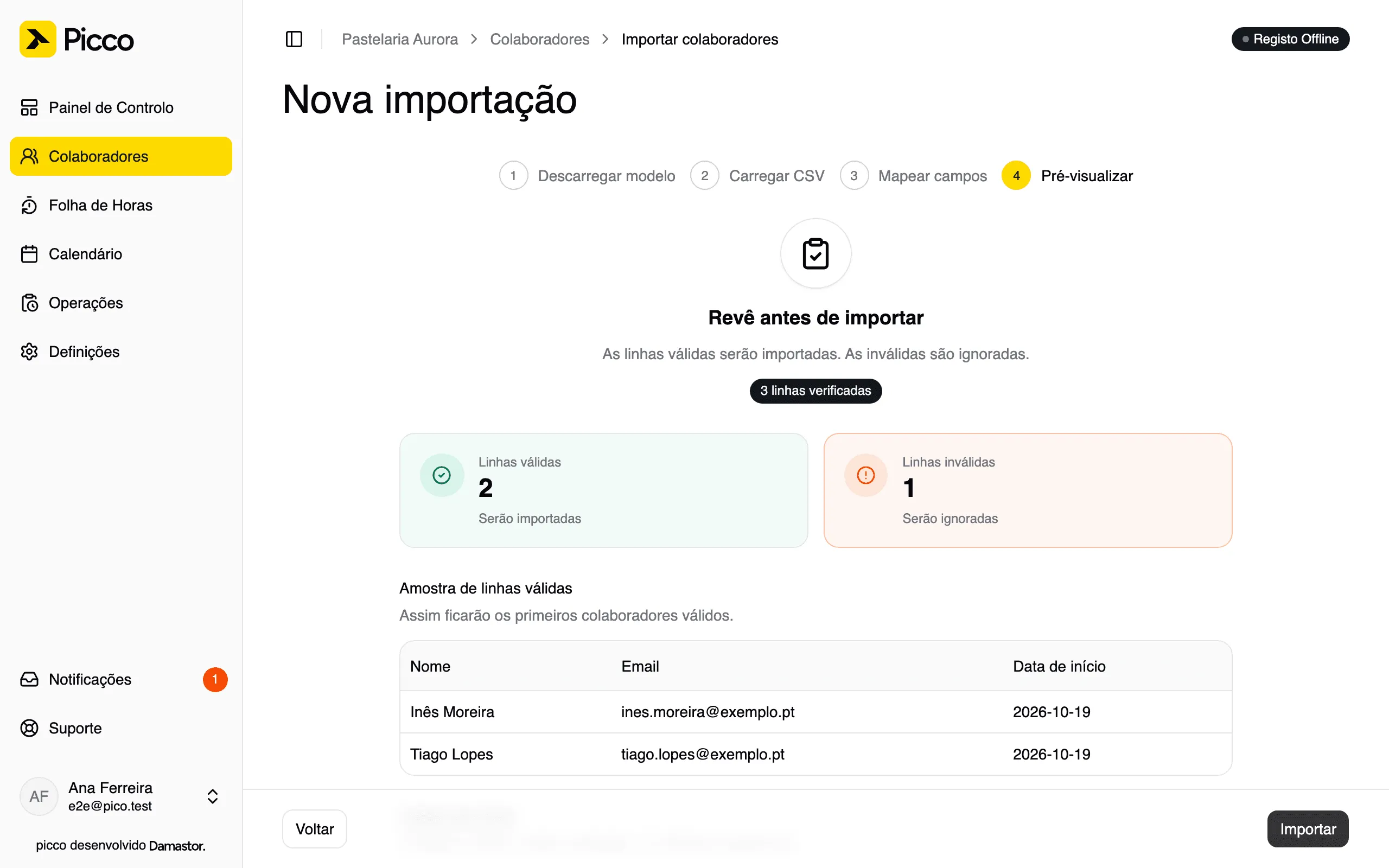 Passo 4: linhas válidas e inválidas antes de importar